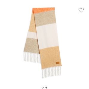 Vince scarf 🧣